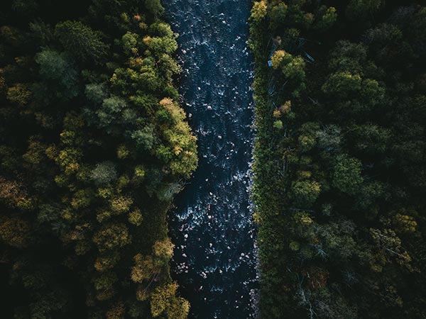 Tom Ohlin Fexfdfmxnmu Unsplash
